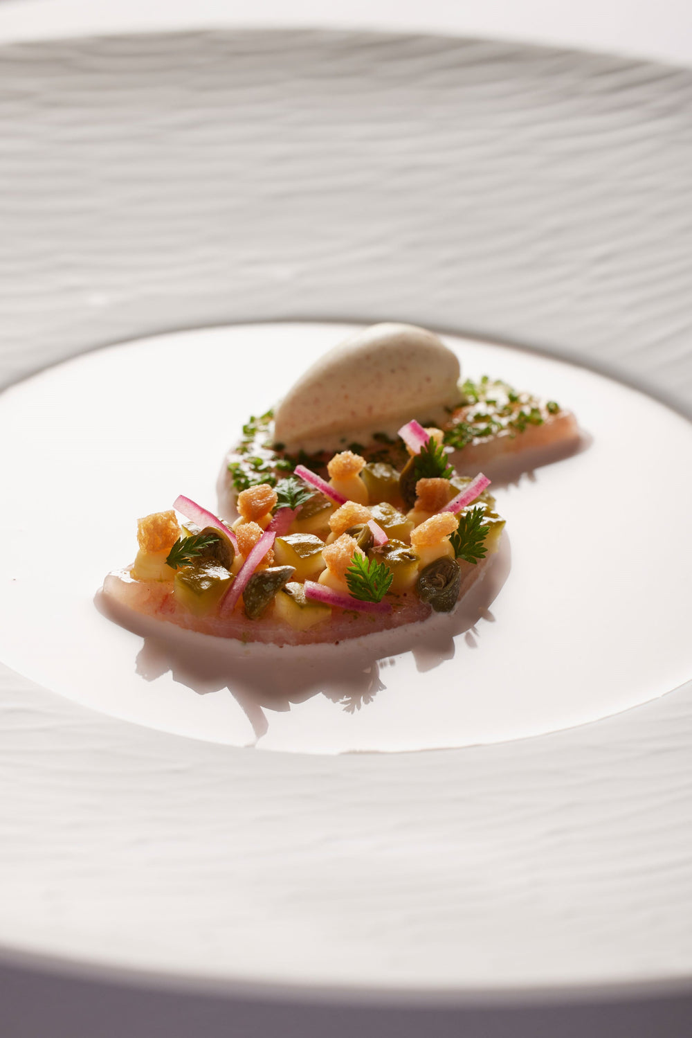 Plat raffiné avec une préparation artistique composée de morceaux de poisson garnis de condiments et d'une quenelle de glace, présenté sur une assiette blanche élégante.