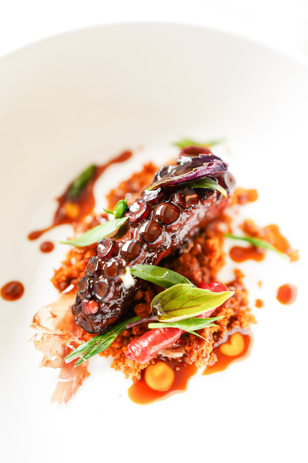 Plat gastronomique avec un tentacule de poulpe grillé, des herbes fraîches et une sauce rouge, présenté sur une assiette blanche.