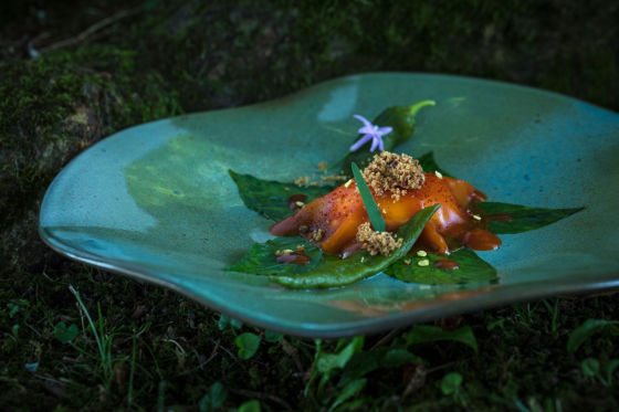 Randonnée Culinaire en 4 étapes