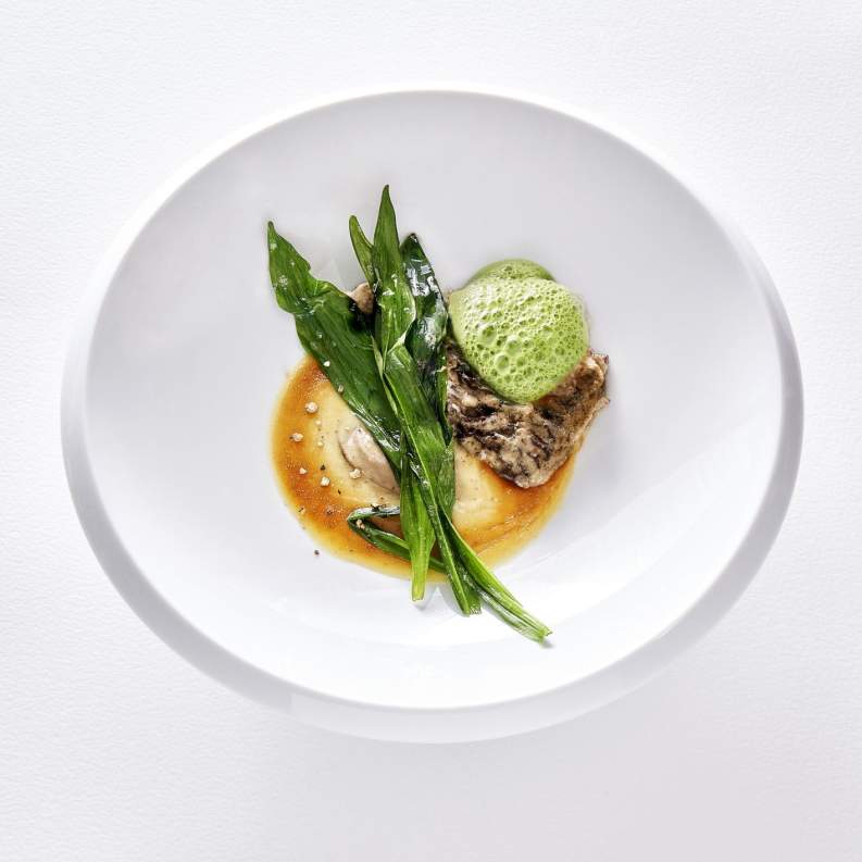 Un plat gastronomique raffiné, composé de feuilles vertes, d'une mousse verte, d'une sauce brune, et de morceaux de viande, joliment disposé dans une assiette blanche minimaliste.



