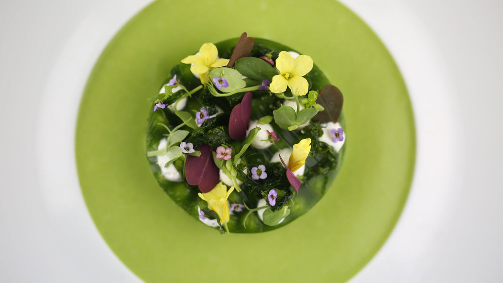 Assiette de salade composée de légumes verts et de fleurs comestibles, présentée de manière artistique sur une assiette blanche avec un fond vert.