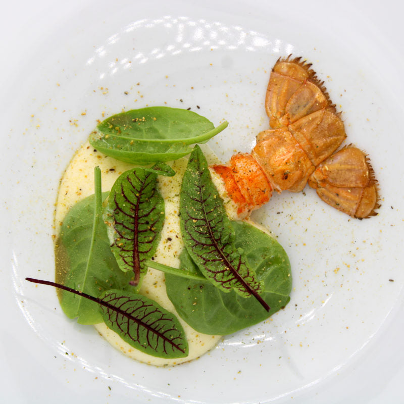 Demi-langouste accompagnée de jeunes pousses sur une base de purée légère.