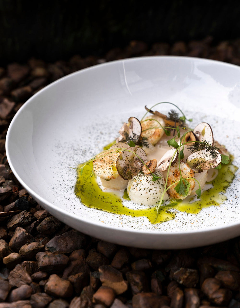 Assiette gastronomique avec noix de Saint-Jacques, herbes fraîches et sauce verte